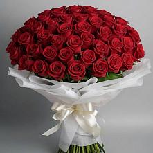 Букет 101 Красная роза Блэк Мэджик в Южно-Сухокумске