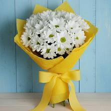 Букет цветов из:  Хризантемы в Южно-Сухокумске