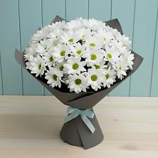 Букет цветов из:  Хризантемы в Южно-Сухокумске