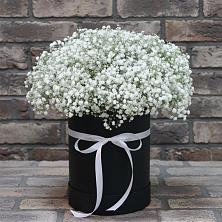 Цветочная композиция из Гипсофила в шляпной коробке в Южно-Сухокумске