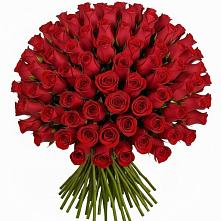 Букет Красные розы Чери Лав в Южно-Сухокумске